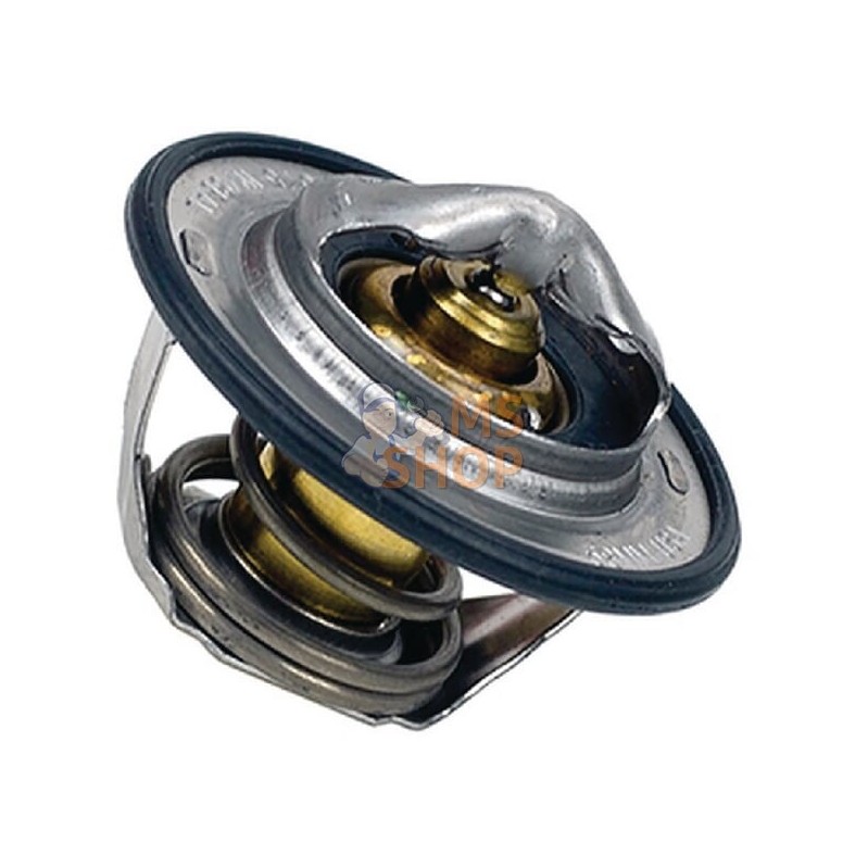 Thermostat | VAPORMATIC Thermostat | VAPORMATICPR#880609