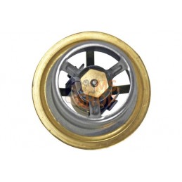 Thermostat | VAPORMATIC Thermostat | VAPORMATICPR#481034