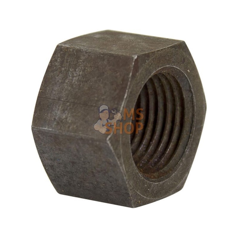 Écrou | ZETOR Écrou | ZETORPR#971233