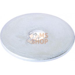 Rondelle 40 x 10 mm Zetor | ZETOR Rondelle 40 x 10 mm Zetor | ZETORPR#876982