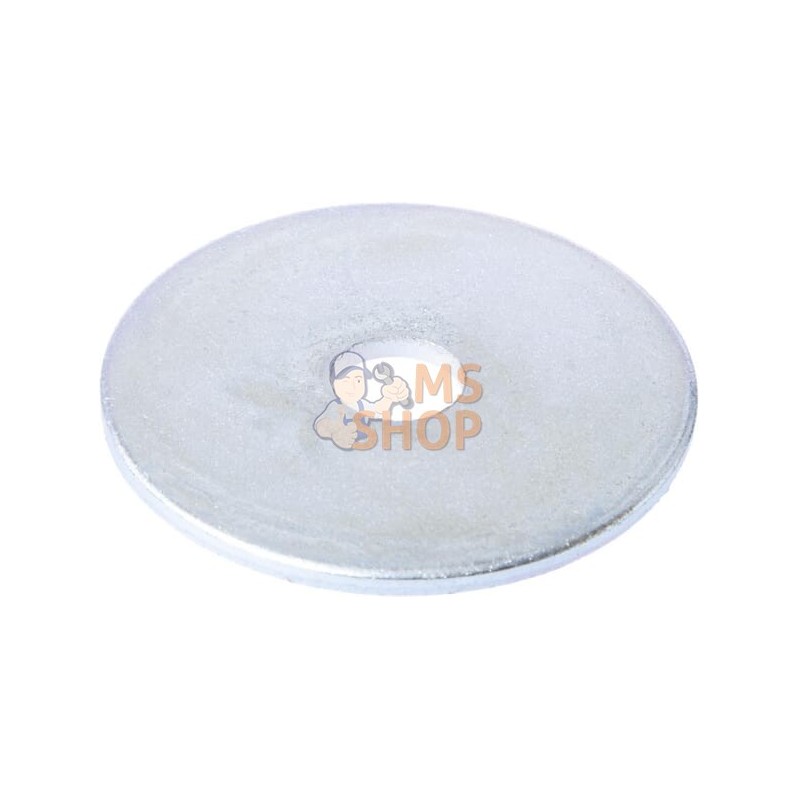 Rondelle 40 x 10 mm Zetor | ZETOR Rondelle 40 x 10 mm Zetor | ZETORPR#876982
