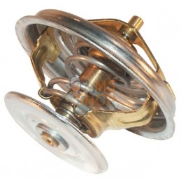 Thermostat | ZETOR Thermostat | ZETORPR#970990