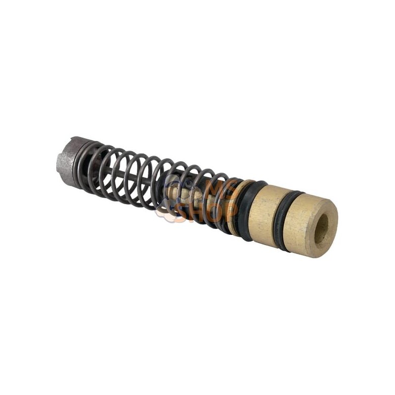 Piston maitre Cylindreind | ZETOR Piston maitre Cylindreind | ZETORPR#878091