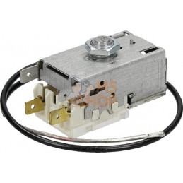 Thermostat | ZETOR Thermostat | ZETORPR#877778