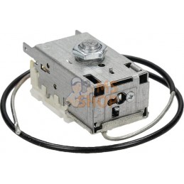 Thermostat | ZETOR Thermostat | ZETORPR#877778