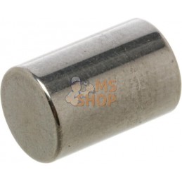 Rouleau 8 x 12 mm Zetor | ZETOR Rouleau 8 x 12 mm Zetor | ZETORPR#876796