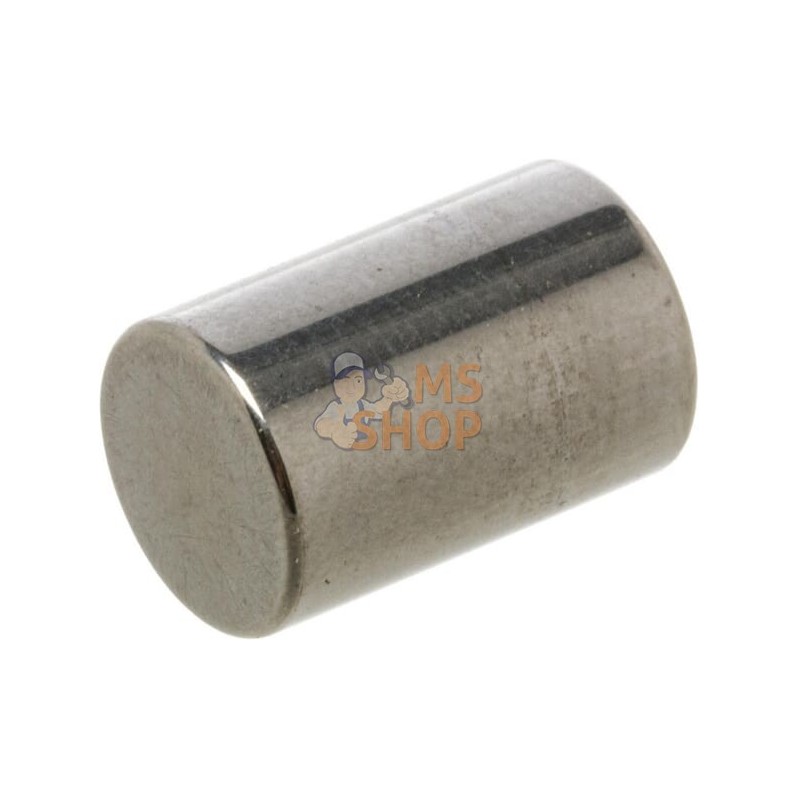Rouleau 8 x 12 mm Zetor | ZETOR Rouleau 8 x 12 mm Zetor | ZETORPR#876796