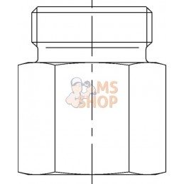 Adapteur femelle 12S - 3/8 BSP | VOSS Adapteur femelle 12S - 3/8 BSP | VOSSPR#481990