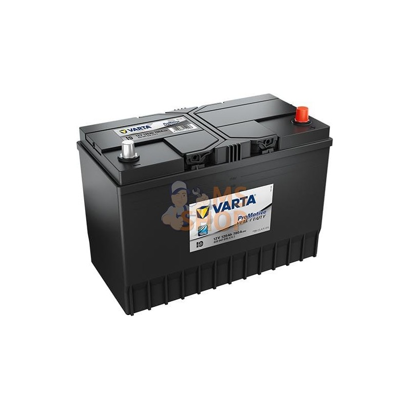 Batterie Promotive utilisation intensive 12V 120Ah 780A VARTA | VARTA Batterie Promotive utilisation intensive 12V 120Ah 780A VA
