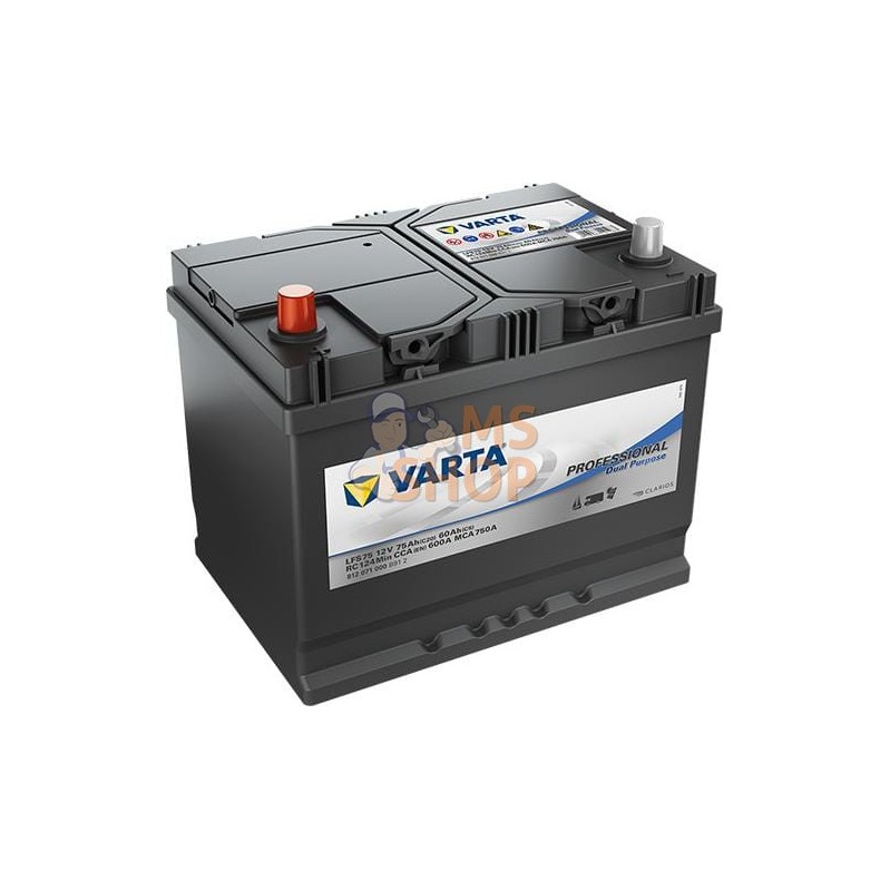 Batterie de loisirs 12V 75/60,0Ah 600A VARTA | VARTA Batterie de loisirs 12V 75/60,0Ah 600A VARTA | VARTAPR#633687