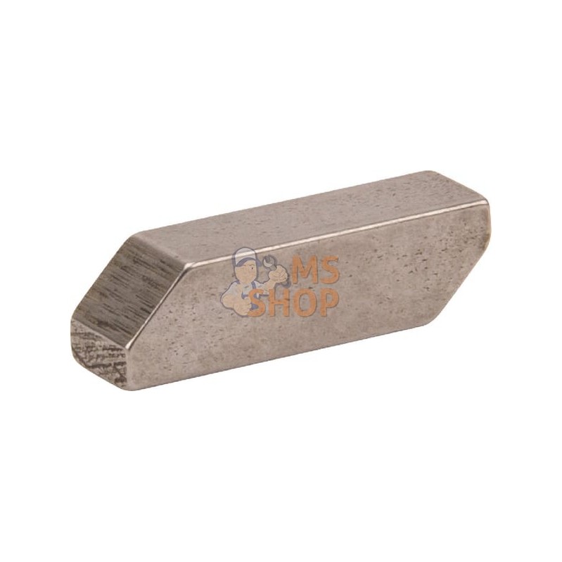 Cliquet de verrouillage | VIKING Cliquet de verrouillage | VIKINGPR#799215