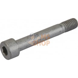 Vis cylindrique | VICON Vis cylindrique | VICONPR#614896