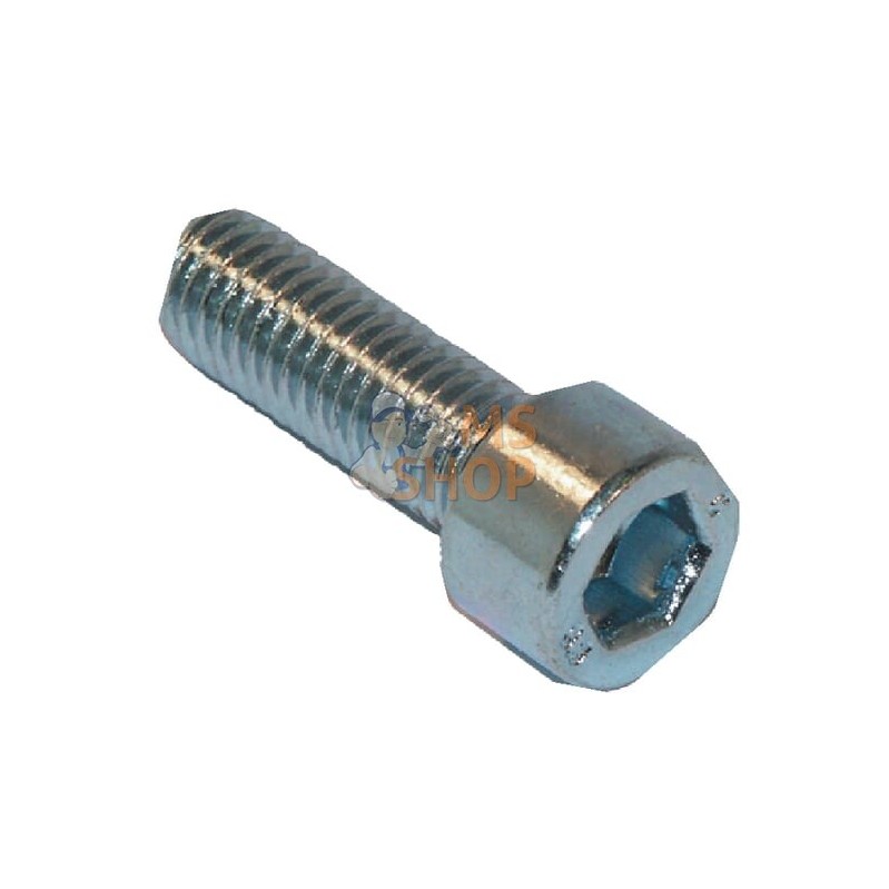 Vis à tête cylindrique PZ | VICON Vis à tête cylindrique PZ | VICONPR#614718