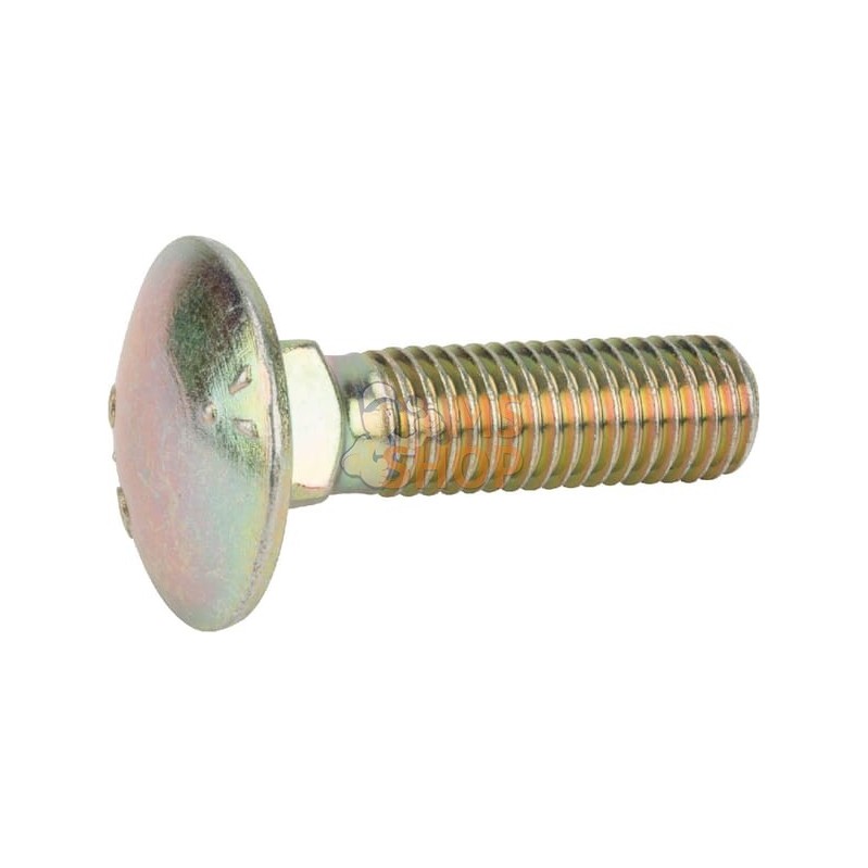 Vis à tête bombé M12x45 8.8 | VICON Vis à tête bombé M12x45 8.8 | VICONPR#614754
