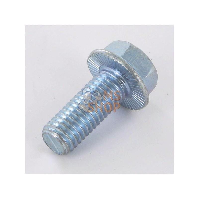 Vis M10x25 Zingué | VICON Vis M10x25 Zingué | VICONPR#614729
