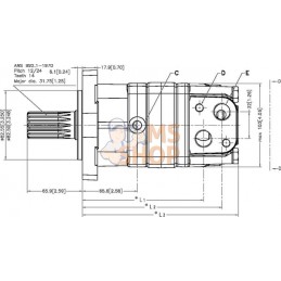 Moteur orbital cardan 1-1/4", Z14 | WHITE Moteur orbital cardan 1-1/4", Z14 | WHITEPR#1112712