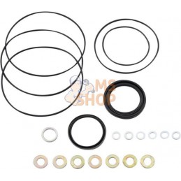 Kit de joints OMR D=32 51-1166 | WHITE Kit de joints OMR D=32 51-1166 | WHITEPR#1112773