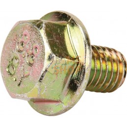 Vis hexagonale Verbus-Ripp | AGRIA Vis hexagonale Verbus-Ripp | AGRIAPR#213187