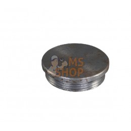Vis cylindrique M33 x 1,5 | AGRIA Vis cylindrique M33 x 1,5 | AGRIAPR#212307