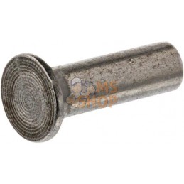 Rivet | AGRIA Rivet | AGRIAPR#448475