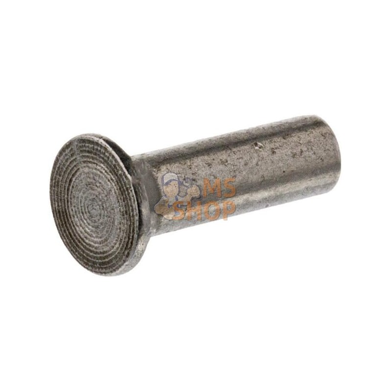 Rivet | AGRIA Rivet | AGRIAPR#448475