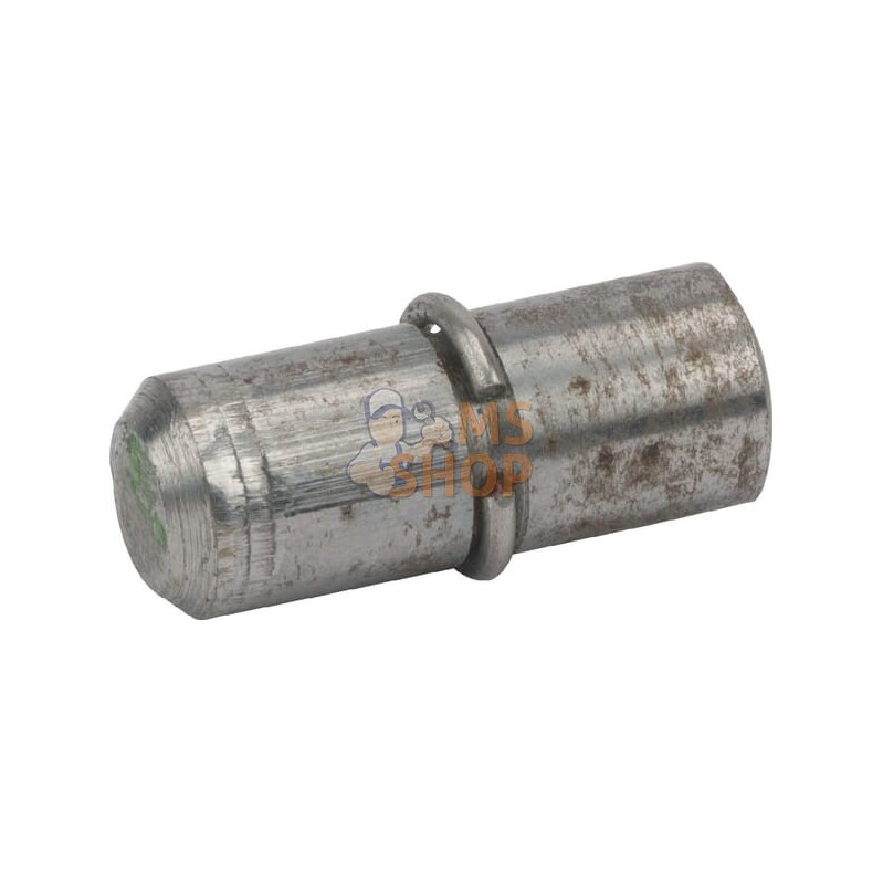 Goupille cannelée centr. M6x16 | AGRIA Goupille cannelée centr. M6x16 | AGRIAPR#213548