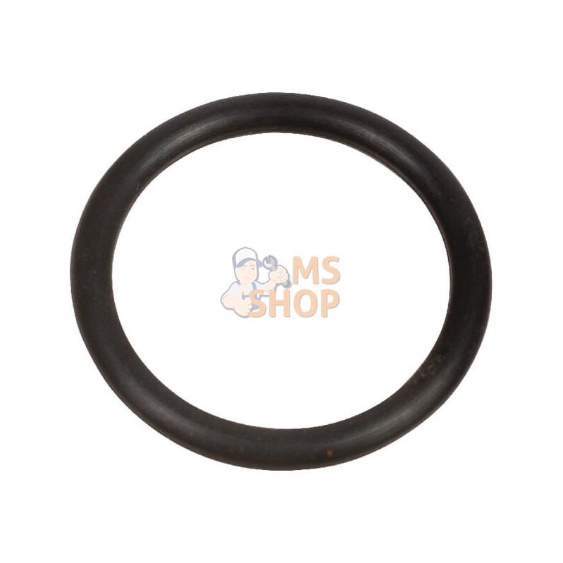 Bague p. joint circul. 20x2,5 | AGRIA Bague p. joint circul. 20x2,5 | AGRIAPR#213133