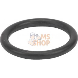 Bague p. joint circul. 25x3,5 | AGRIA Bague p. joint circul. 25x3,5 | AGRIAPR#213049