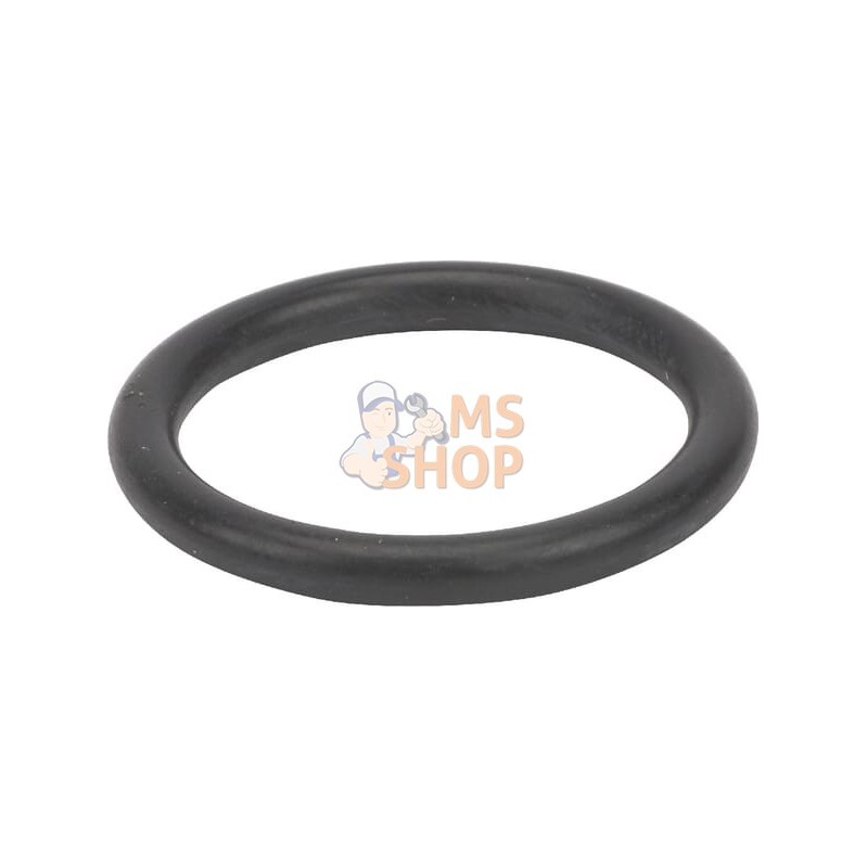 Bague p. joint circul. 25x3,5 | AGRIA Bague p. joint circul. 25x3,5 | AGRIAPR#213049