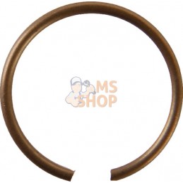 Bague d'arrêt métallique | AGRIA Bague d'arrêt métallique | AGRIAPR#213245