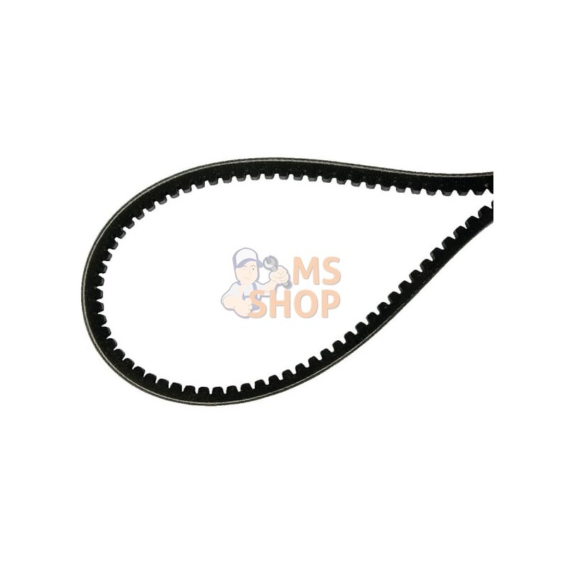 Courroie trapézoïdale SPAx 782 | AGRIA Courroie trapézoïdale SPAx 782 | AGRIAPR#212215