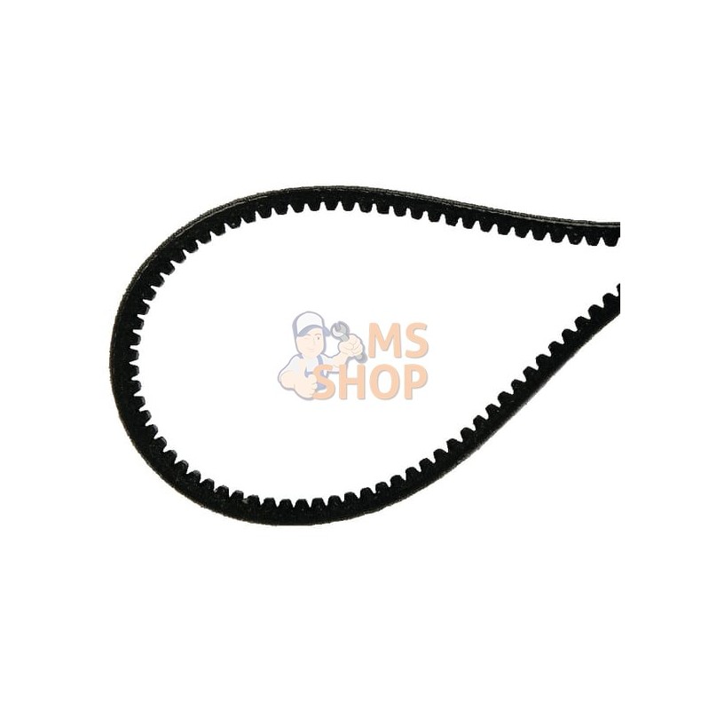 Courroie 2215-8x425 | AGRIA Courroie 2215-8x425 | AGRIAPR#212325