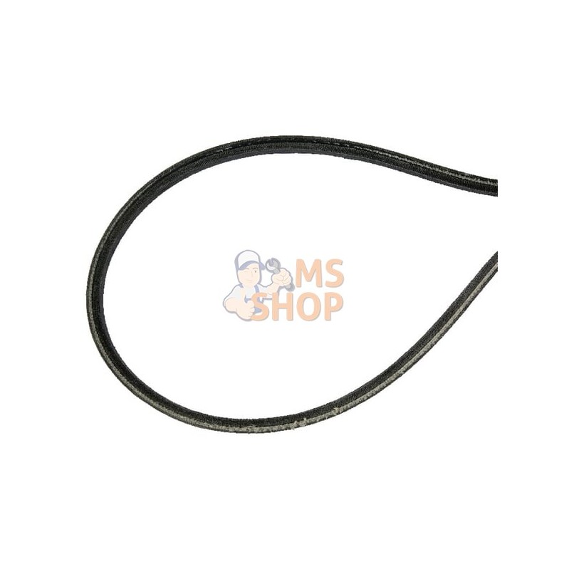 Courroie trapézoïdale 6-kant 10x650 Li | AGRIA Courroie trapézoïdale 6-kant 10x650 Li | AGRIAPR#212084
