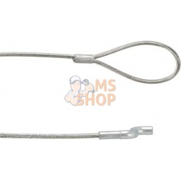 Corde de décompression | AGRIA Corde de décompression | AGRIAPR#213425