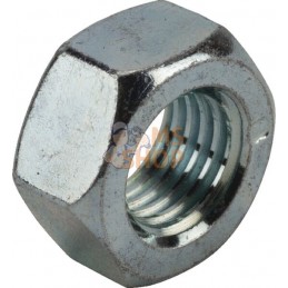 Ecrou hexagonal | AGRIA Ecrou hexagonal | AGRIAPR#213061