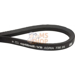 Courroie trapézoïdale | AGRIA Courroie trapézoïdale | AGRIAPR#212350