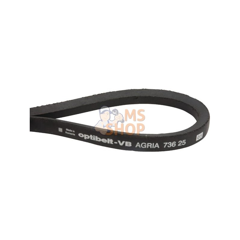 Courroie trapézoïdale | AGRIA Courroie trapézoïdale | AGRIAPR#212350