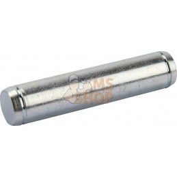 Boulon de palier | AGRIA Boulon de palier | AGRIAPR#213485