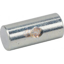 Boulon de cylindre | AGRIA Boulon de cylindre | AGRIAPR#213030