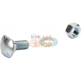 Boulon carré M12x25 | AGRIA Boulon carré M12x25 | AGRIAPR#213356