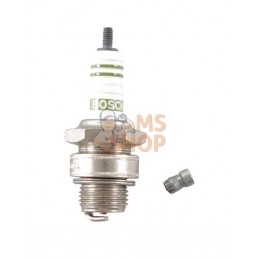 Bougie | AGRIA Bougie | AGRIAPR#1072606