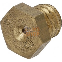 Buse principale | AGRIA Buse principale | AGRIAPR#213586