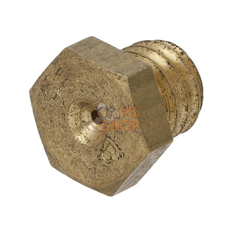 Buse principale | AGRIA Buse principale | AGRIAPR#213586