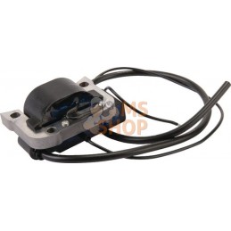 Bobine d'allumage | AGRIA Bobine d'allumage | AGRIAPR#212599