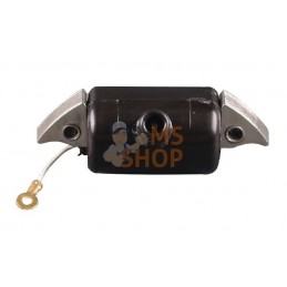 Bobine d'allumage | AGRIA Bobine d'allumage | AGRIAPR#212501