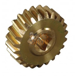 Pignon vis sans vin | AS-MOTOR Pignon vis sans vin | AS-MOTORPR#159592