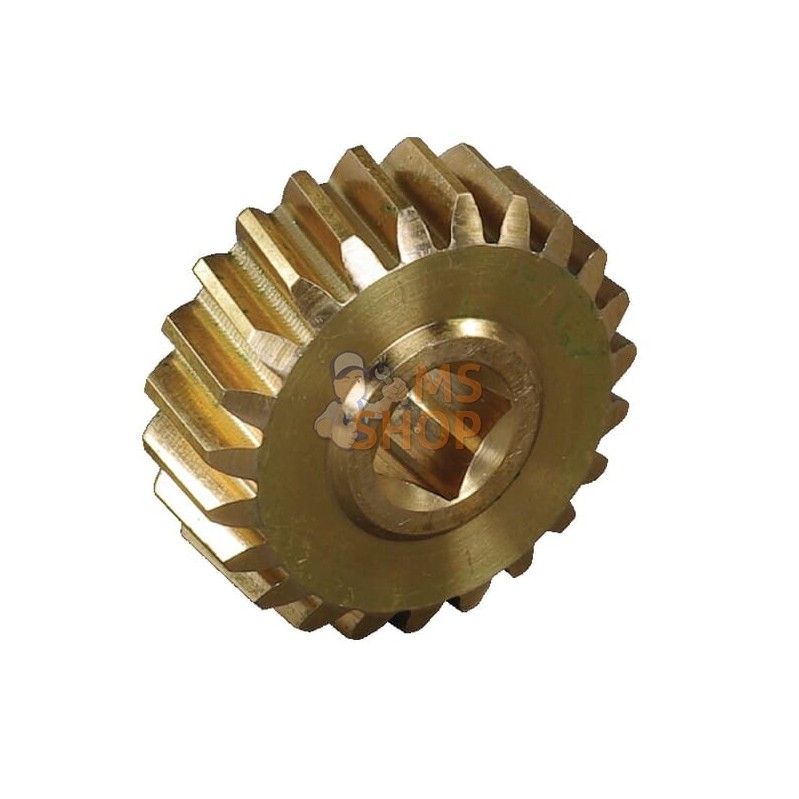 Pignon vis sans vin | AS-MOTOR Pignon vis sans vin | AS-MOTORPR#159592