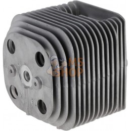 Cylindre diamètre 60 | AS-MOTOR Cylindre diamètre 60 | AS-MOTORPR#159247