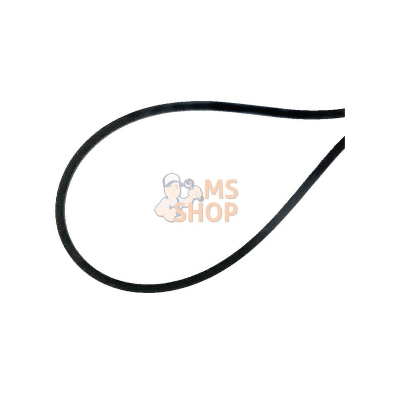 Courroie | AS-MOTOR Courroie | AS-MOTORPR#159009