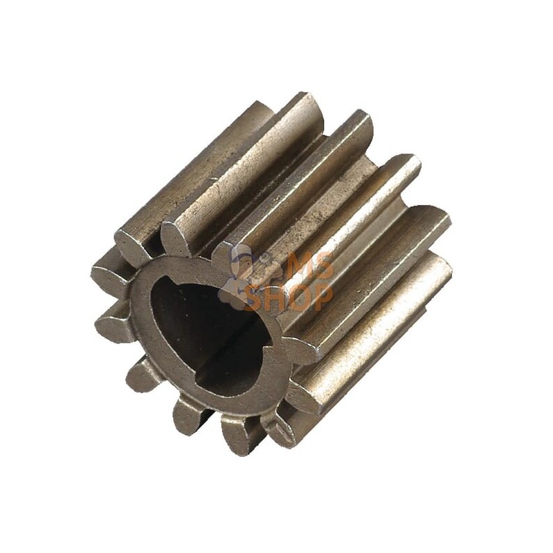 Pignon entr. | AS-MOTOR Pignon entr. | AS-MOTORPR#159386